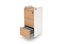 suitable-for-archive-and-secretary-offices-type-6823-41 -  - https://mohitara.com