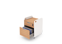 suitable-for-archive-and-secretary-offices-type-6825-41 -  - https://mohitara.com