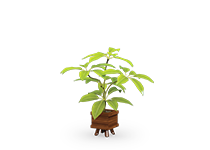 suitable-for-keeping-flower-and-plants-type-8621-42 -  - https://mohitara.com