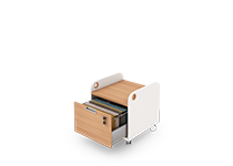 suitable-for-archive-and-secretary-offices-type-6821-41 -  - https://mohitara.com