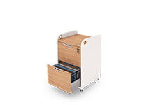 suitable-for-archive-and-secretary-offices-type-6822-41 -  - https://mohitara.com