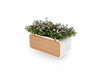 suitable-for-flowers-in-office-type-7714-41 -  - https://mohitara.com