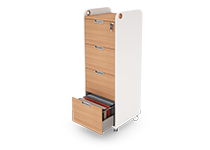 suitable-for-archive-and-secretary-offices-type-6824-41 -  - https://mohitara.com